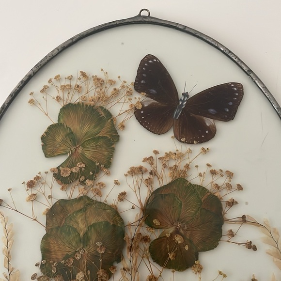 Wall Art dried butterflies and flowers Set of 2 - Picture 6 of 9